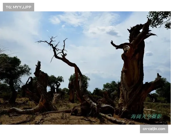 普特利亚斯伤愈复出过程漫长，展现顽强意志品质