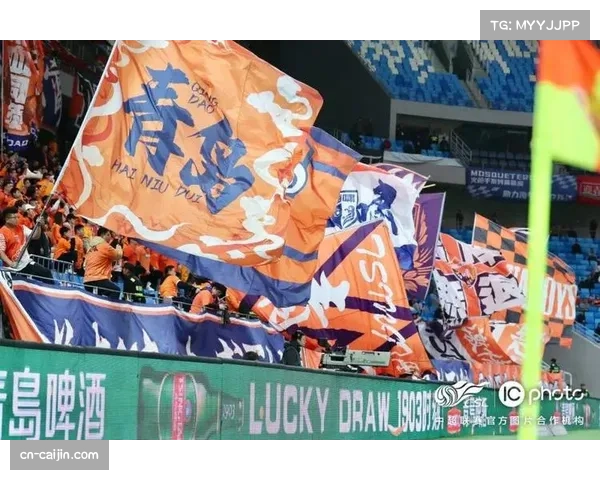 成都蓉城对青岛海牛区域控制，高位逼抢与阵地防守体系对比